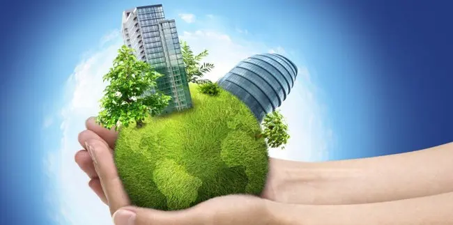 Green Cleaning: Sustainable Solutions for a Cleaner Home and Environment