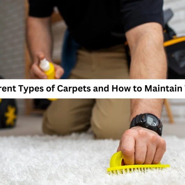 carpet cleaning services in qatar