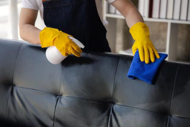 Image of sofa cleaning