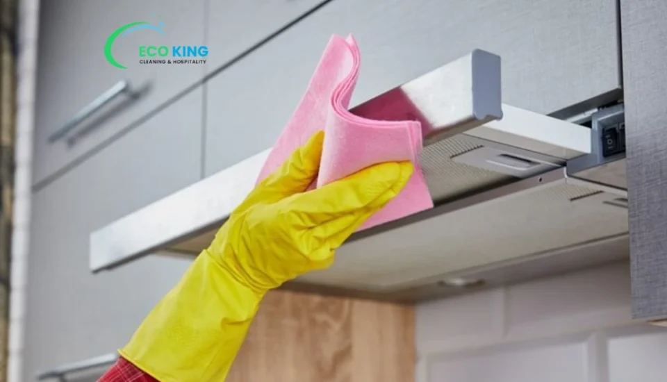 Cleaning Kitchen Cabinets