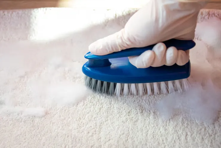 Carpet shampooing removes tough stains