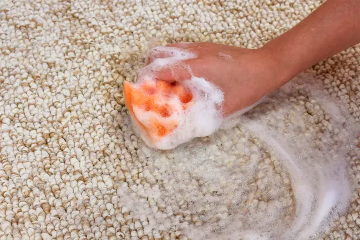 carpet shampooing