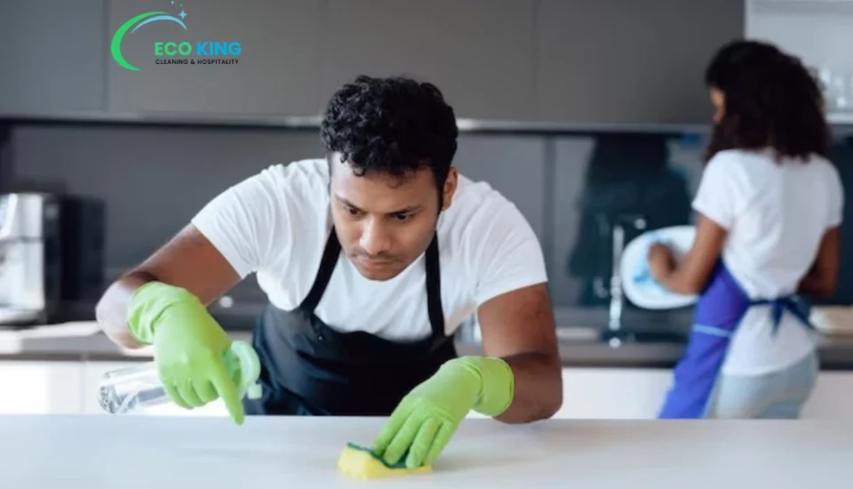 regular home cleaning service