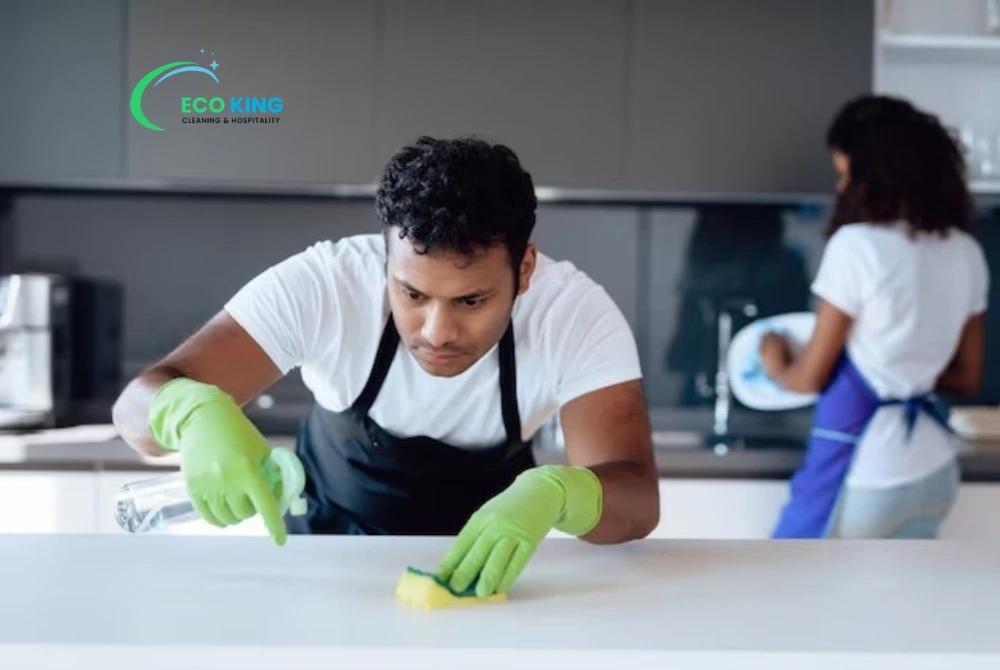 regular home cleaning service